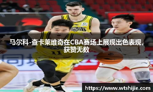 马尔科-查卡莱维奇在CBA赛场上展现出色表现，获赞无数
