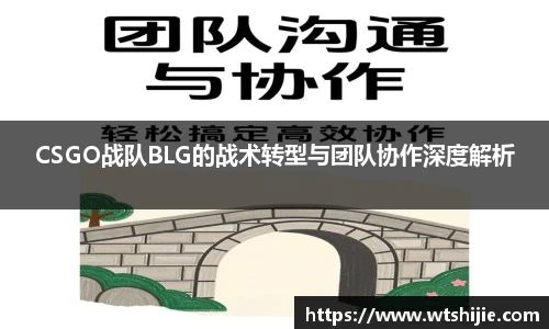 CSGO战队BLG的战术转型与团队协作深度解析