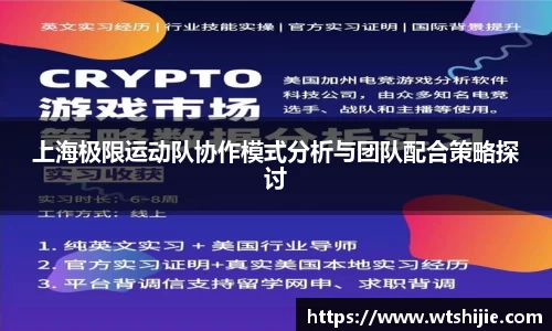 上海极限运动队协作模式分析与团队配合策略探讨
