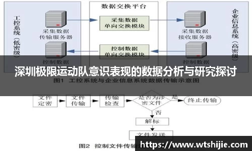 深圳极限运动队意识表现的数据分析与研究探讨