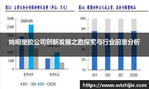 姚明塑胶公司创新发展之路探索与行业前景分析