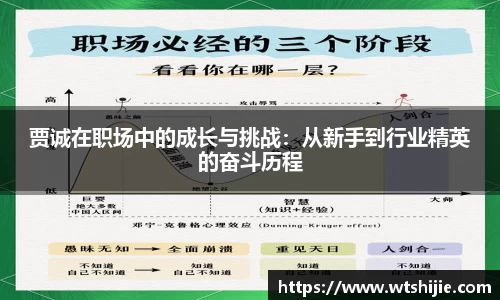 贾诚在职场中的成长与挑战：从新手到行业精英的奋斗历程